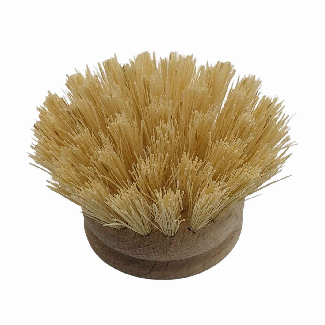 EcoLiving Replacement Head for Wooden Dish Brush